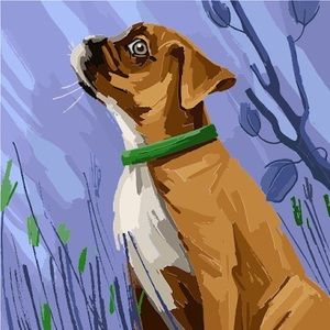 Meet your Posher, Matthew